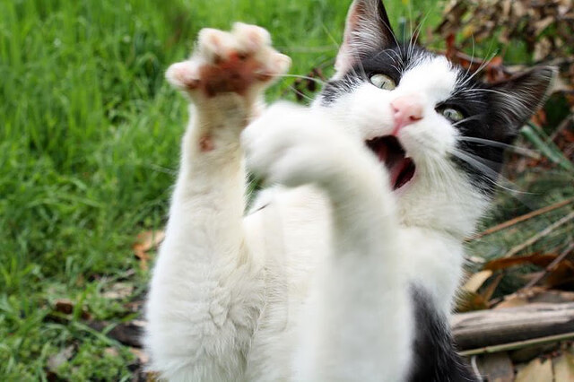 英格兰不敌克罗地亚,遭遇三连败,英格兰vs克罗地亚谁赢了