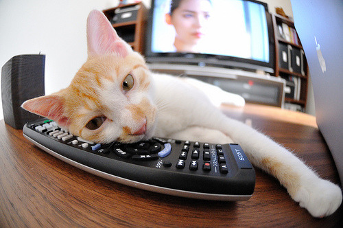 爱游戏体育平台-赫塔费客场不敌皇家社会，吞下败绩，赫塔费足球俱乐部