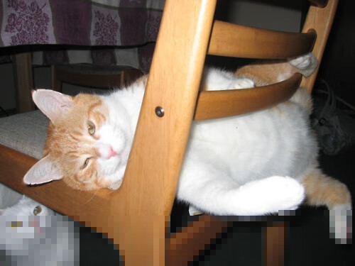 爱游戏在线登录入口-非洲篮球运动员健康管理加强，非洲篮球队