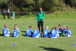 爱游戏官方-德甲球队战术模拟平台辅助比赛策略调整的应用研究，德甲游戏