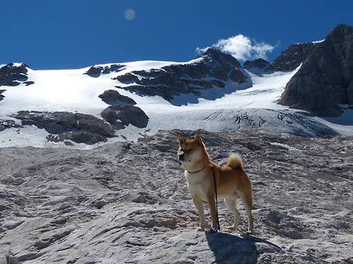爱游戏登录入口-篮球专项技能动作精准度训练新方法，篮球技能展示动作