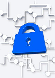 爱游戏体育-高校体育社团管理数字化平台构建方案，全国性体育社团