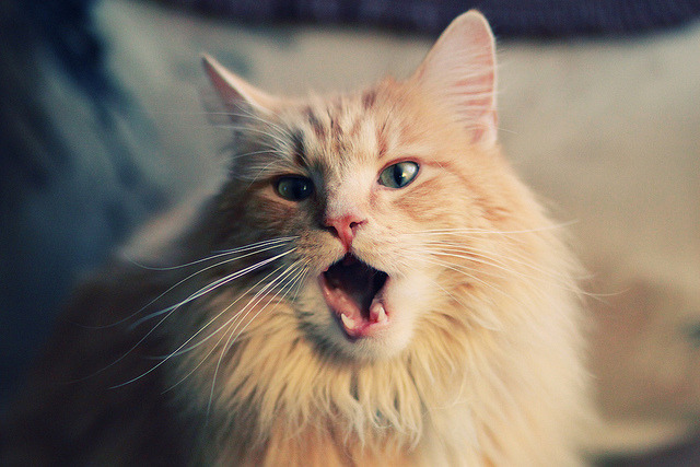 爱游戏娱乐平台-CBA联盟拓展训练营合作加强基层力量，cba训练营在哪里