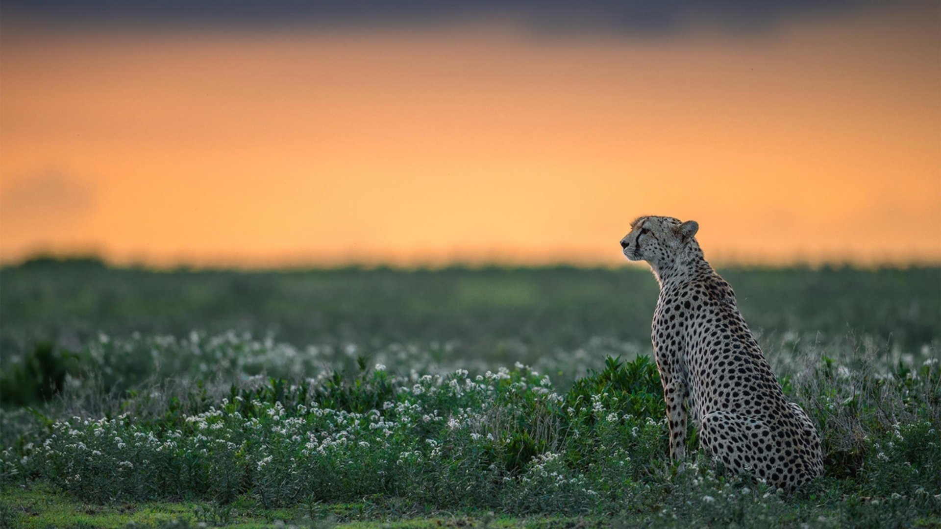 AIYOUXI.COM-国际热身赛中国足球晋级 球迷一致好评，国际足球热身赛是什么