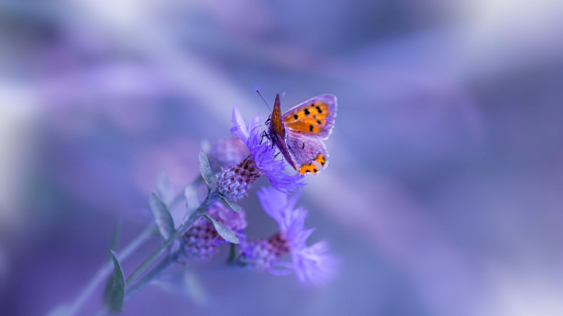 比赛转播技术升级扩大影响力,比赛转播设备