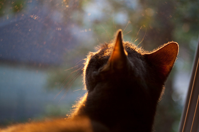 中国队后程发力逆转对手引爆赛场,中国队后腰是谁
