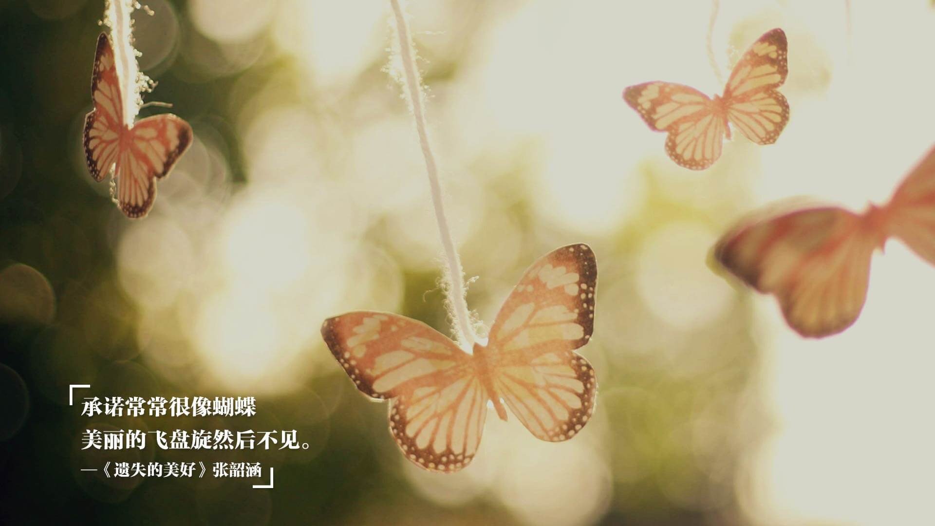 奥尔韦拉3米跳板决赛展现精湛技术,2020奥运3米跳板