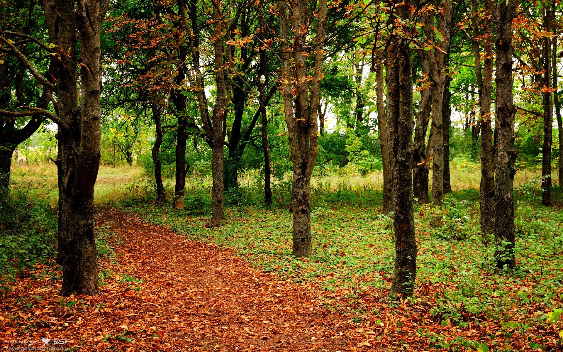 媒体评价球员成长速度快称其或成未来国家队核心中坚力量,球员表现