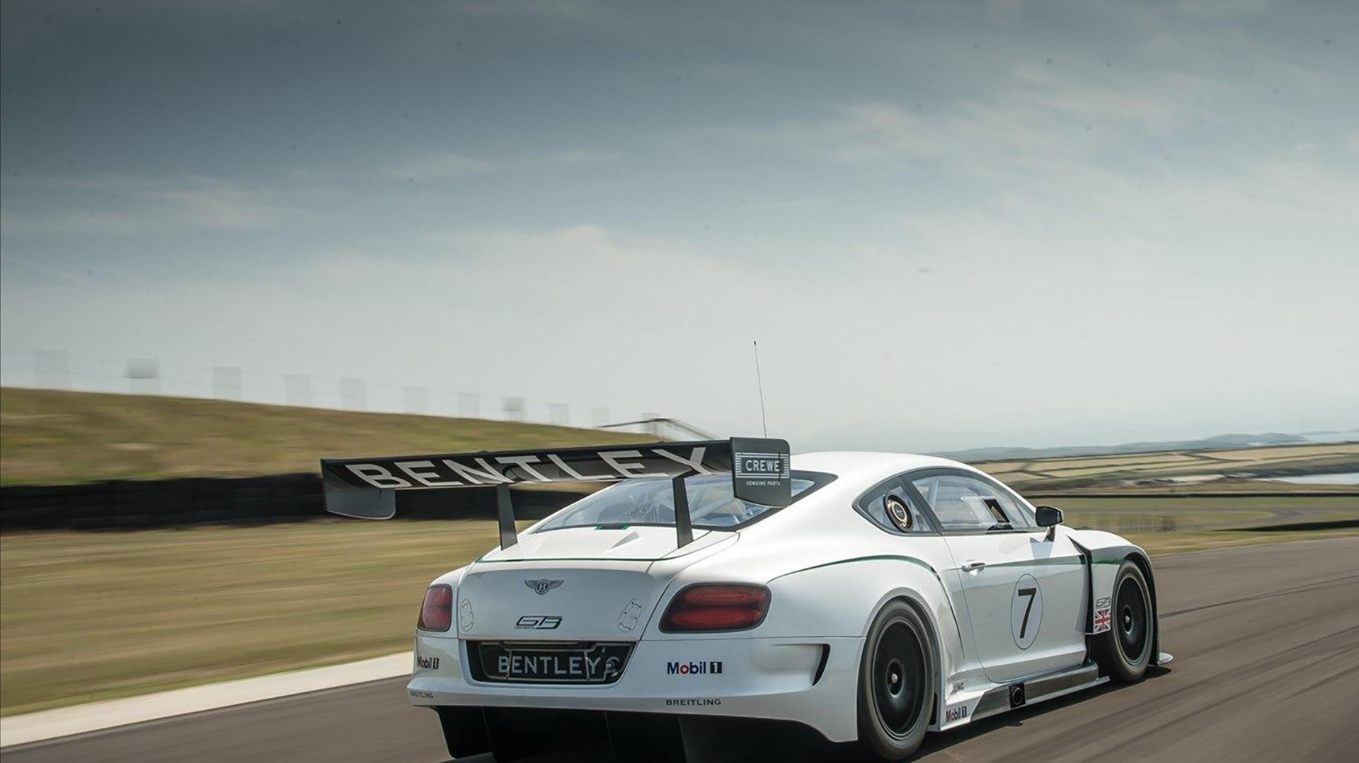 张伟丽训练中遭遇小伤暂无大碍,张伟丽最新训练