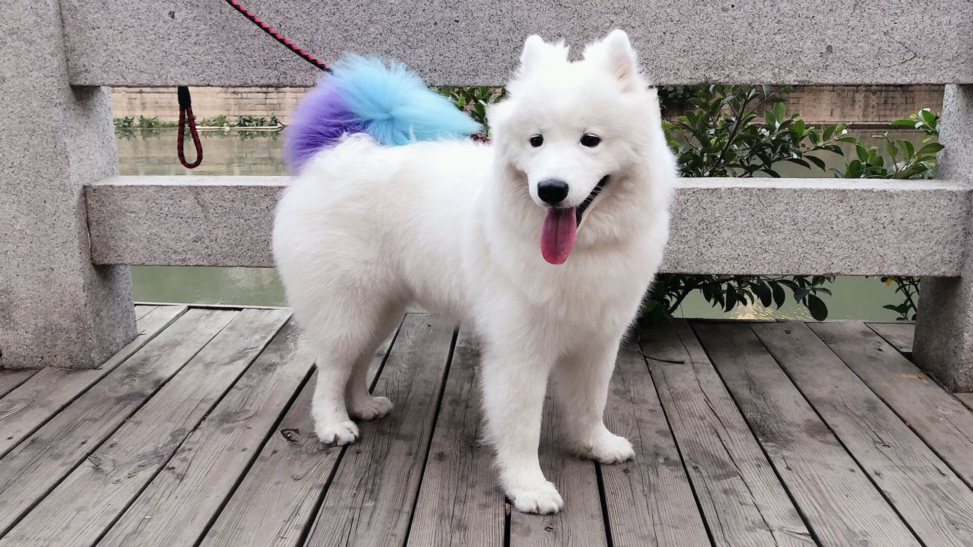 爱游戏app下载-德甲荣誉战：白刃战中的精彩拼抢，德甲荣誉战_白刃战中的精彩拼抢怎么打