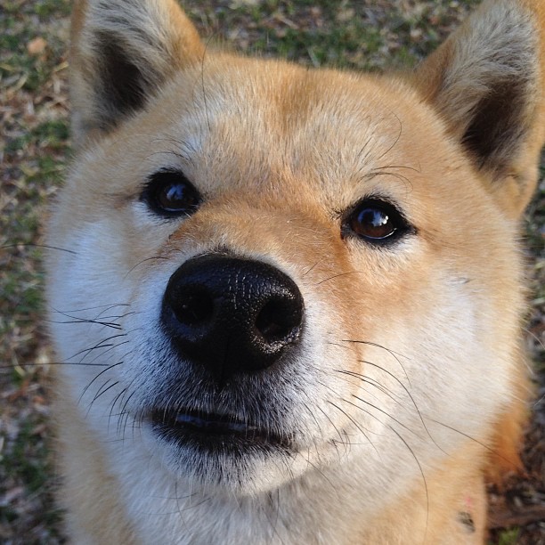 爱游戏娱乐平台-拜仁主帅透露球队将补强锋线，拜仁新主帅