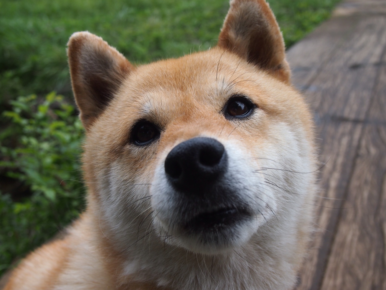 爱游戏娱乐-英超冲刺激烈：悬念、激情逐步升温！，“英超”